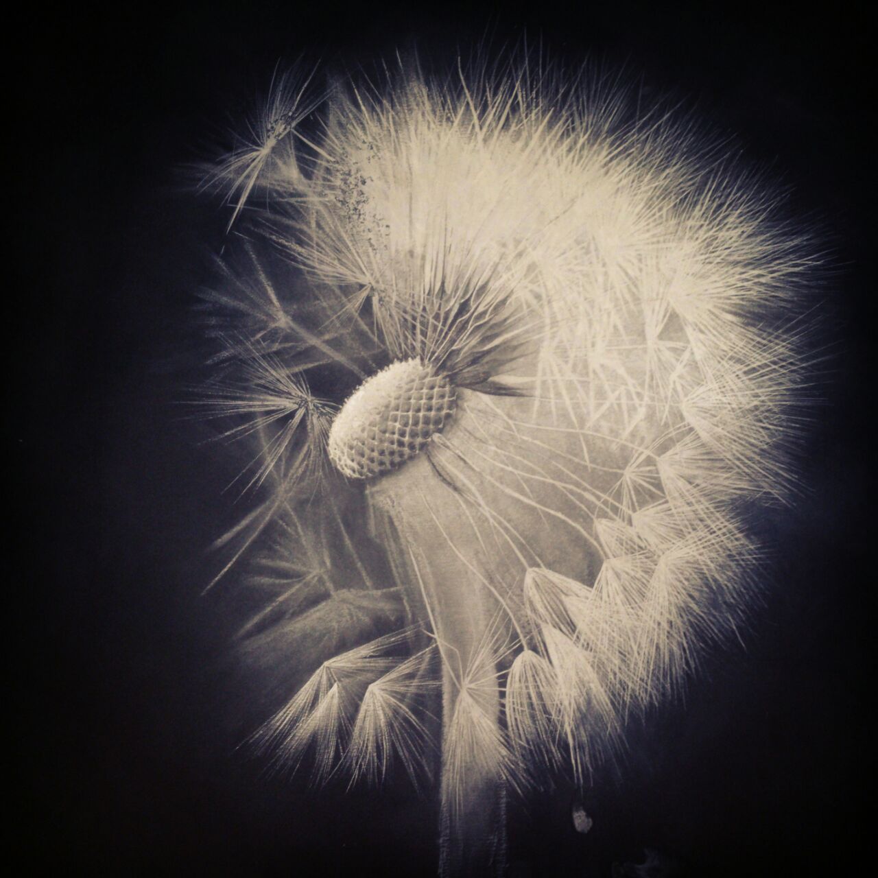 آموزش نقاشی سیاه قلم